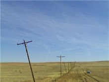 Leaning poles to set in new poles