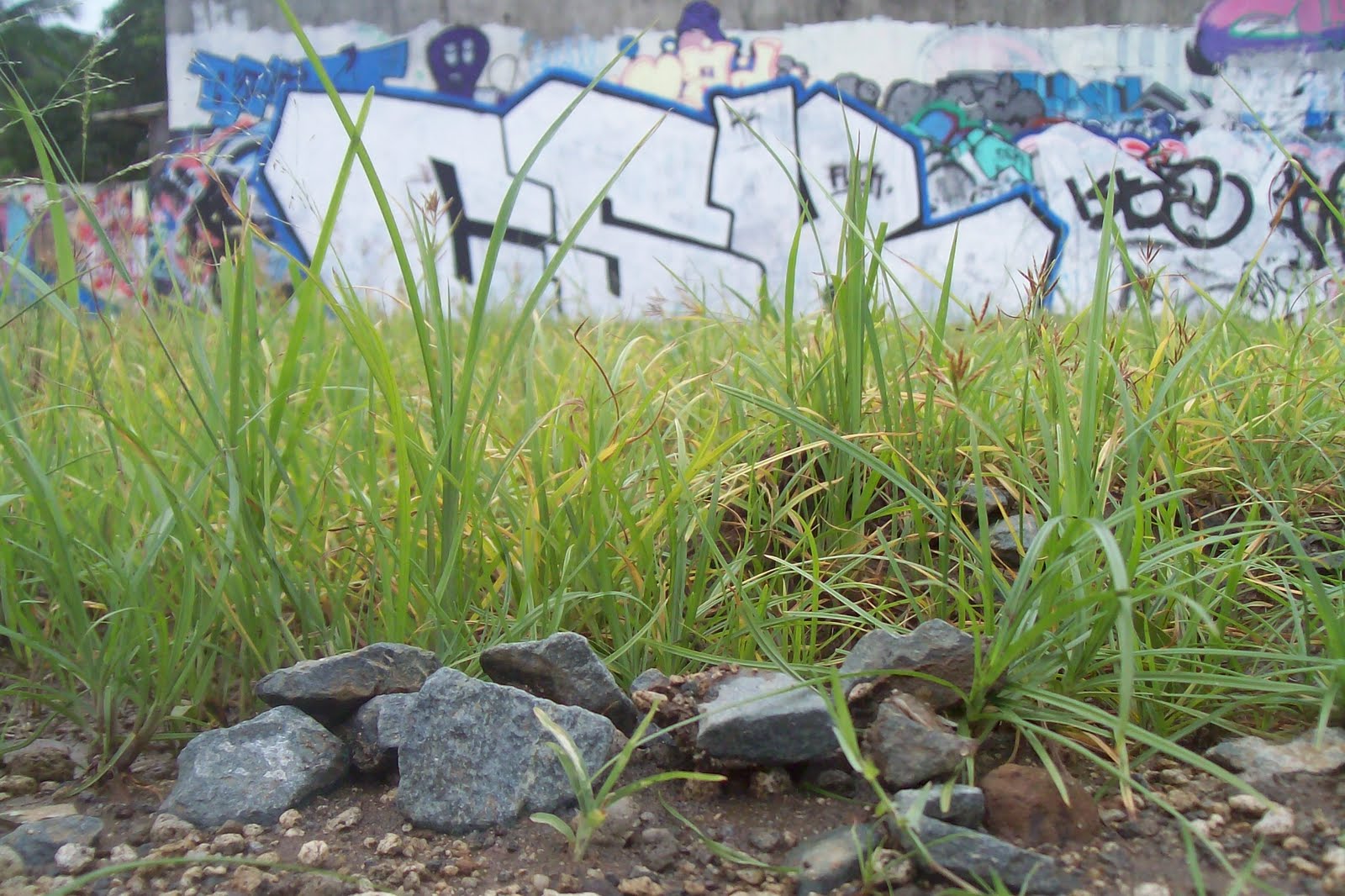 Csk Graffiti