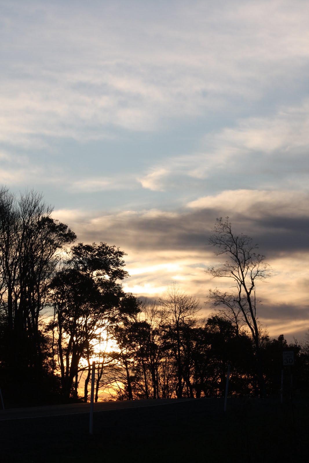 [IMG_8237.JPG]