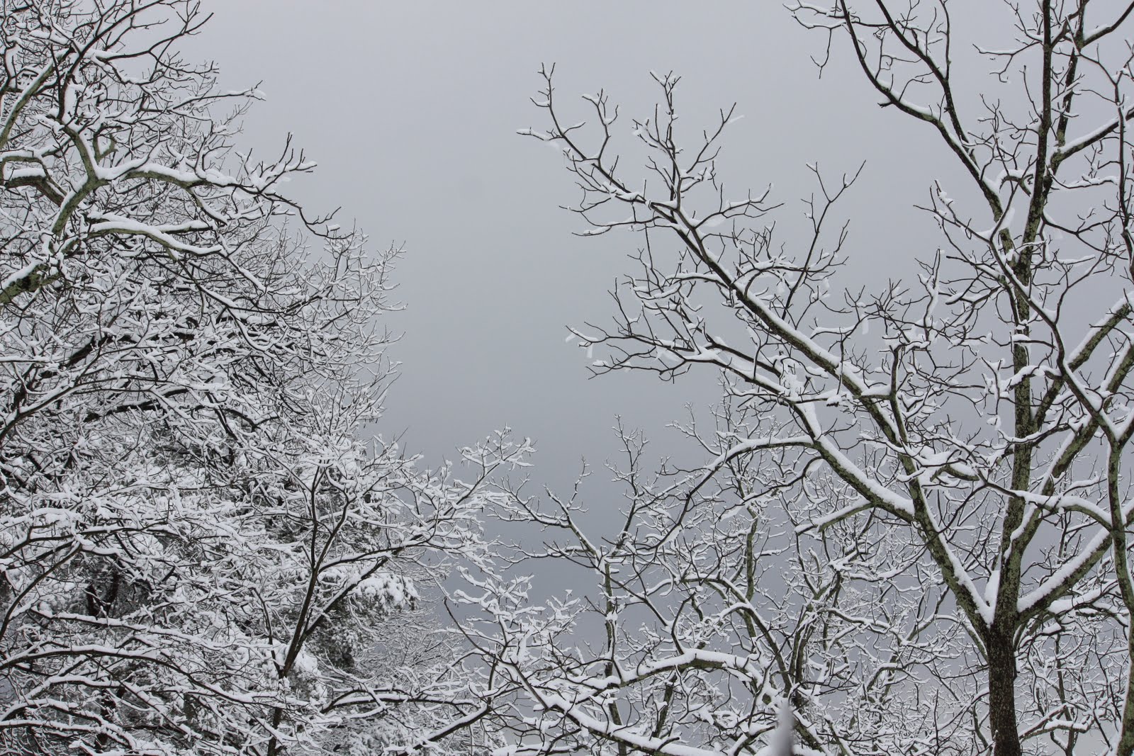 [Image025.JPG]