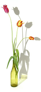 Tulips-still life photoforu.blogspot.com