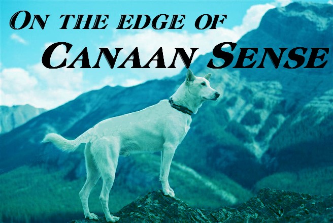 On The Edge Of Canaan Sense