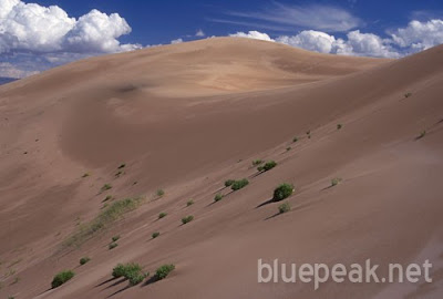 Mongolian Gobi Desert