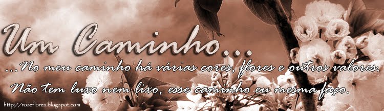 UM CAMINHO...