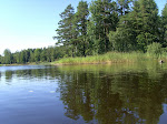 Sommar vid sjön