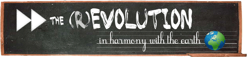 Forward the (R)evolution - in Harmony with the Earth