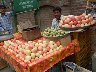 Apples Of Kashmir