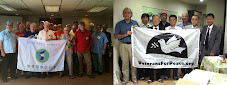 Fwd: A Banner for the Solidarity bet. the VfP in Corea & U.S.