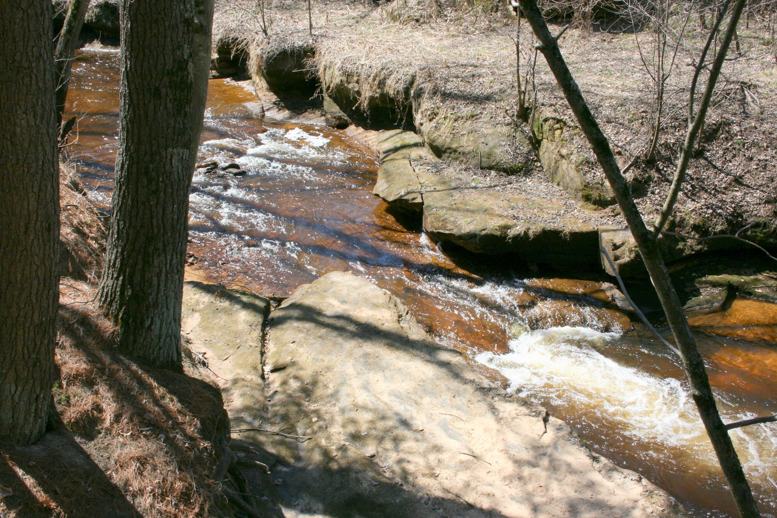 [IMG_2029.JPG]