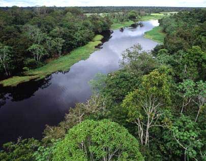 Download Amazonia Recursos Naturales Del Ecuador Pics