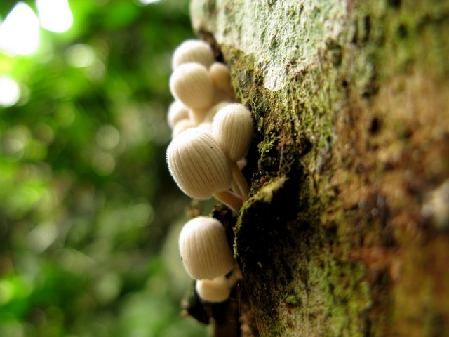 [IMG_8741.JPG]