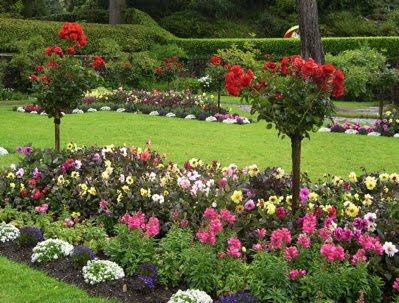 Muckross Gardens in Killarney, Ireland