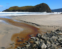 Lion Rock at South Cape Bay beyond a small tannin-stained creek - 6 Oct 2007