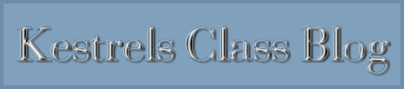 Kestrels Class Blog