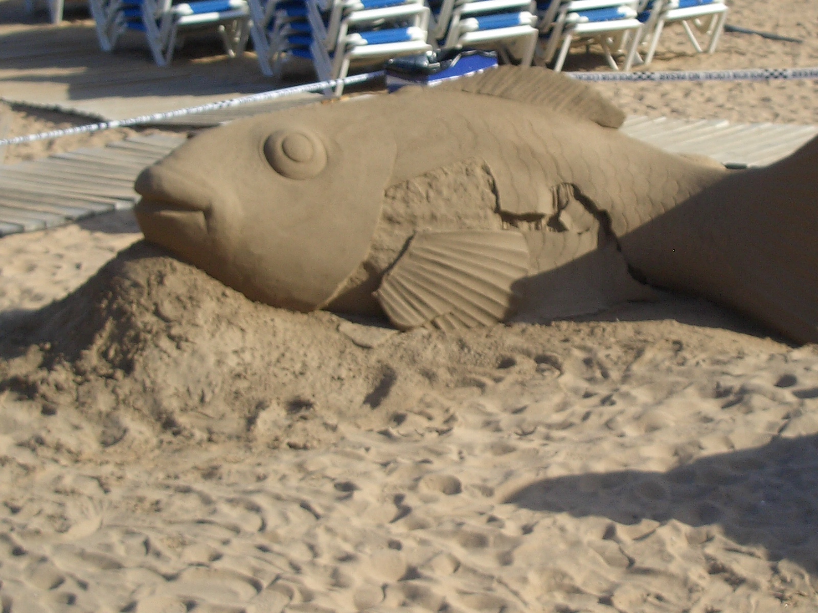 [Fish+Sand.JPG]