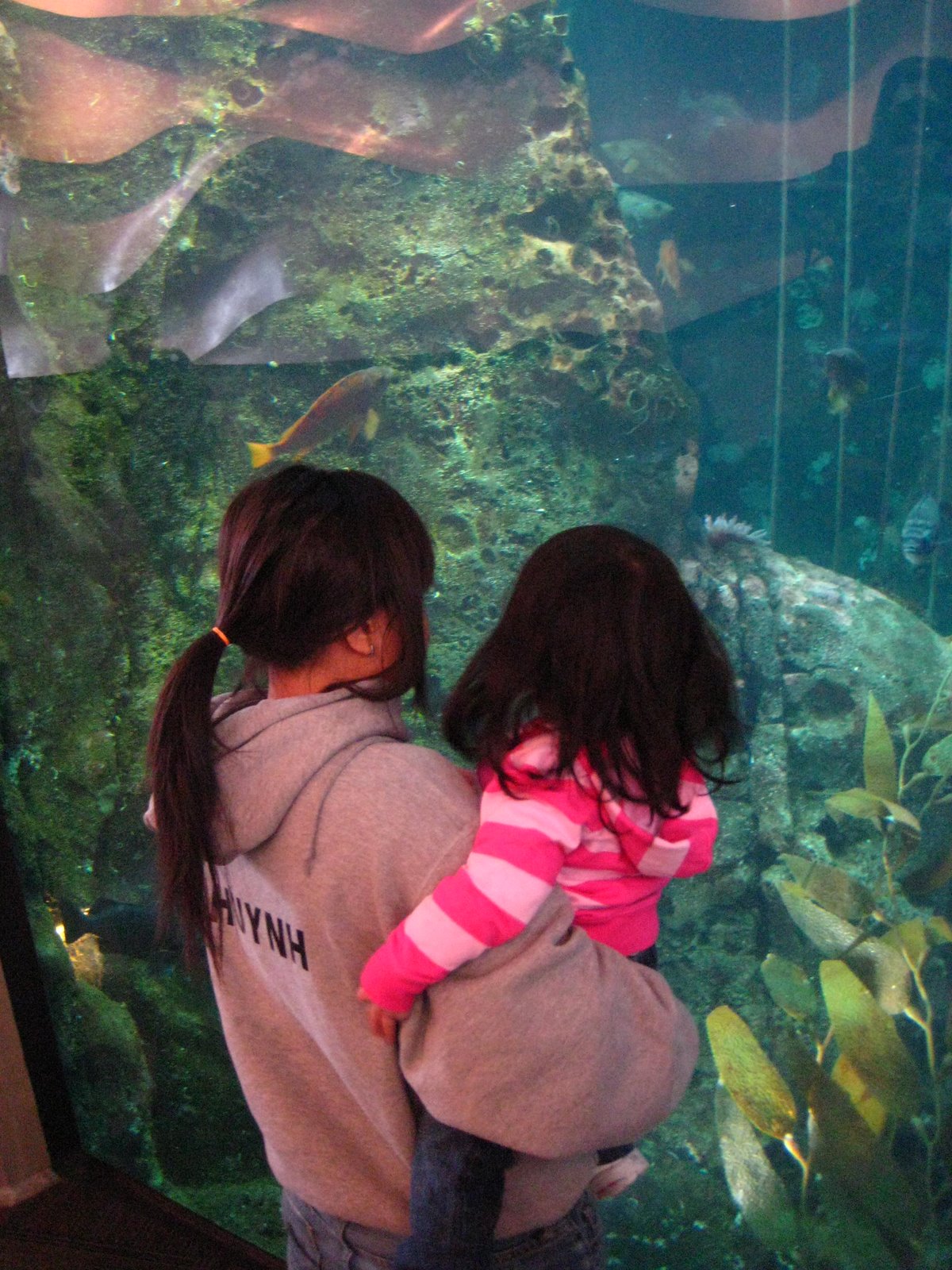 [looking+at+fish.JPG]