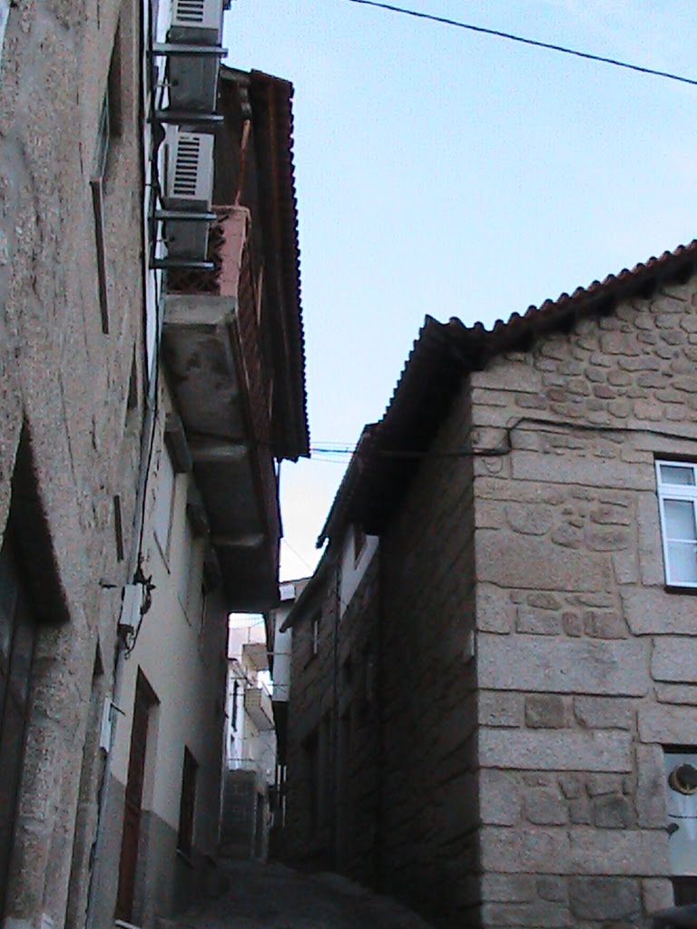 [IMG_3421.JPG]