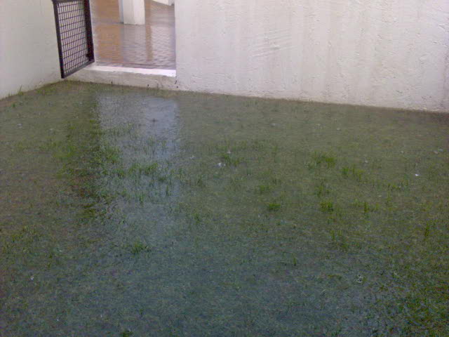 [DSC00054.JPG]