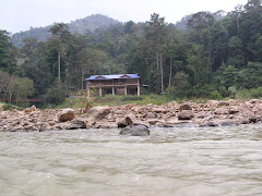 Taman Negara