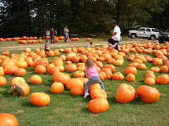 At the pumpkin patch