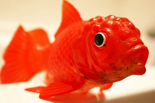 I read about Poisson Rouge