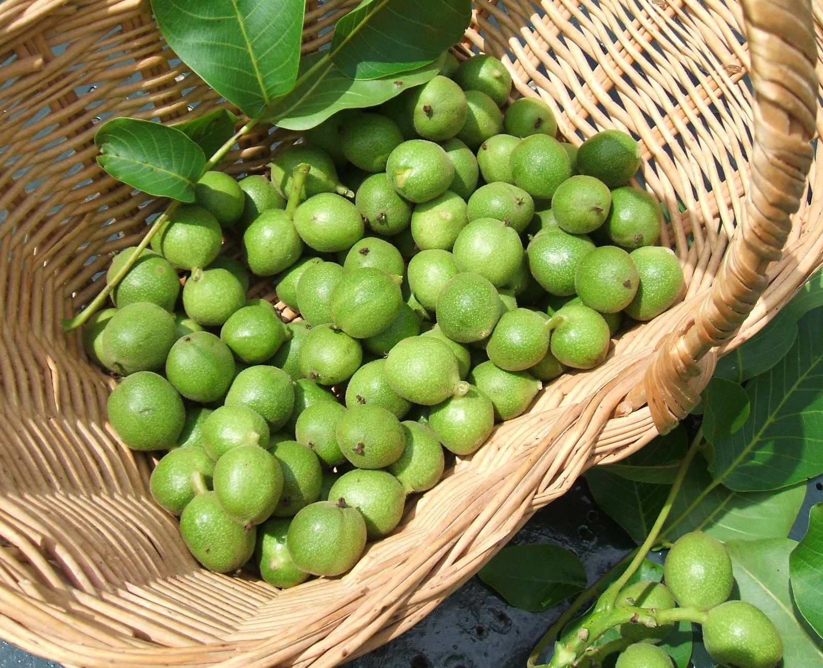 Magnon's Meanderings Pickled walnuts.