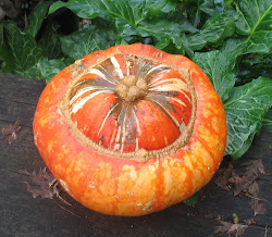 Winter squash.