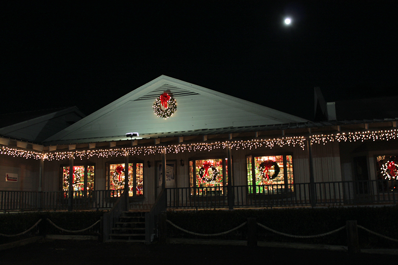 JOYFUL REFLECTIONS Christmas Lights in North Carolina