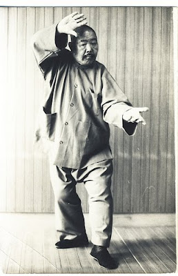 wang shu jin