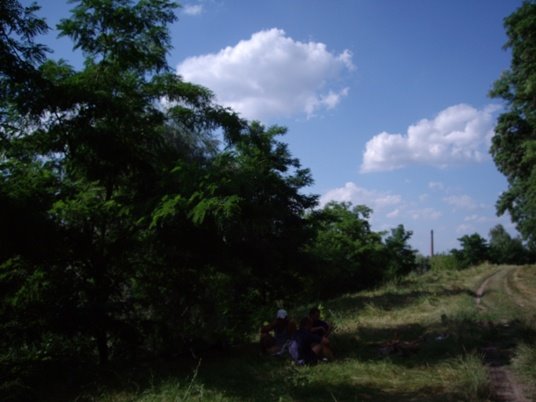 [Старая+дорога.JPG]