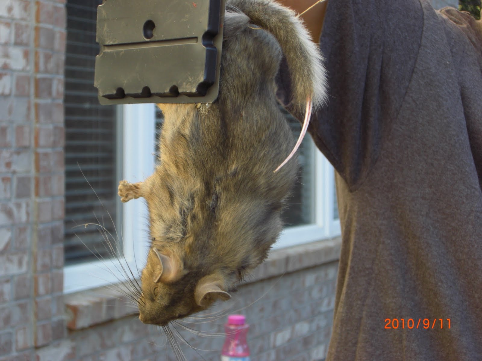 Tim, Sasha & Family Sunday, September 12, 2010