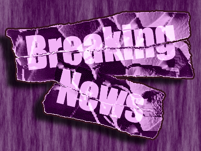 BREAKING NEWS: From Book to...TV Series!?