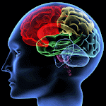 TEST DE INTELIGENCIAS MÚLTIPLES
