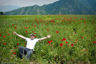 Red Poppy