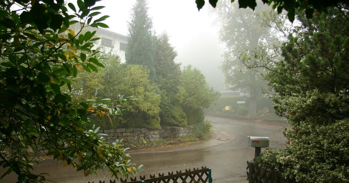 Torwen's Blog: Blick aus dem Küchenfenster