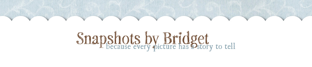 Snapshots by Bridget