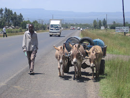 Donkey Drawn Handcart