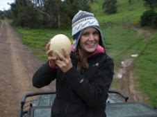 Ostrich Egg on Safari