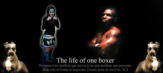 The life of one boxer