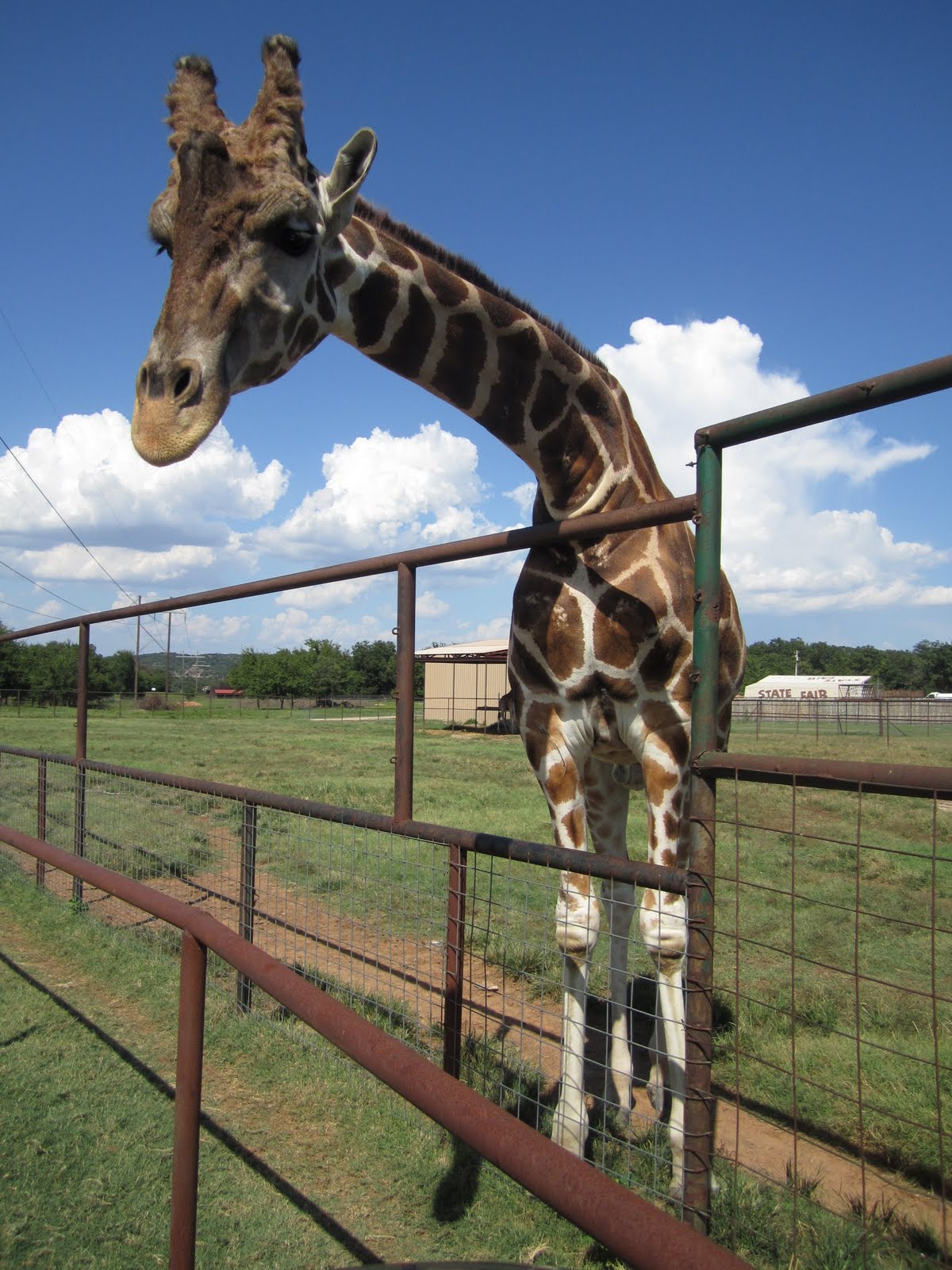 The Moffitt's Arbuckle Wilderness in Oklahoma