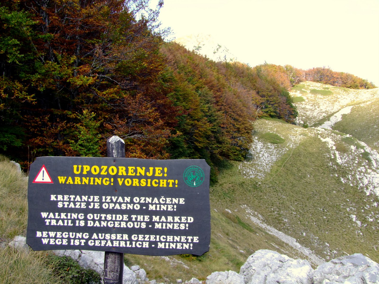 [DSCF6882-1.JPG]