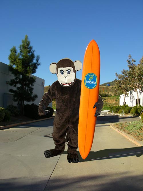 [longboard.jpg]