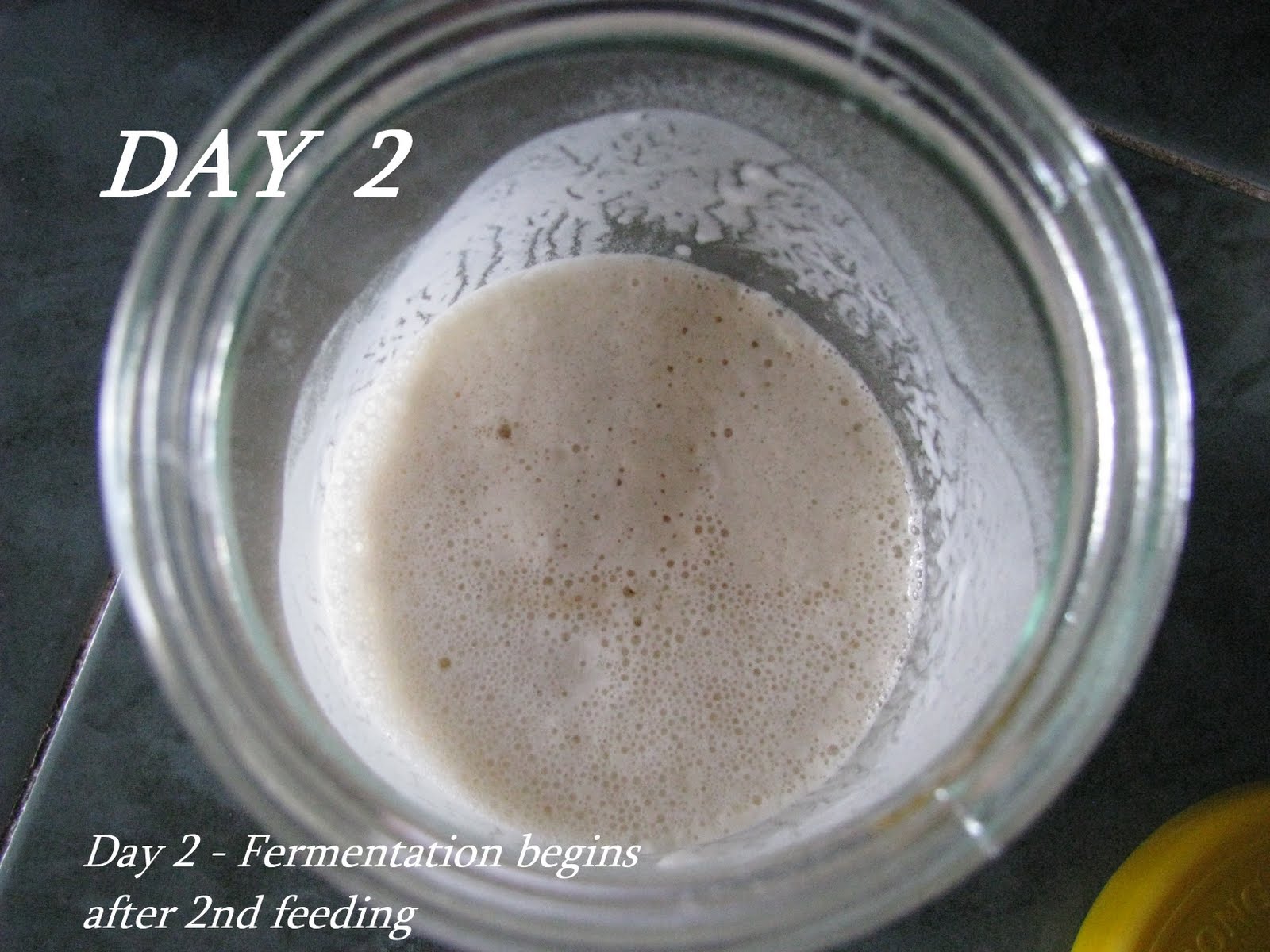 Homemade Leaven Wild Yeast