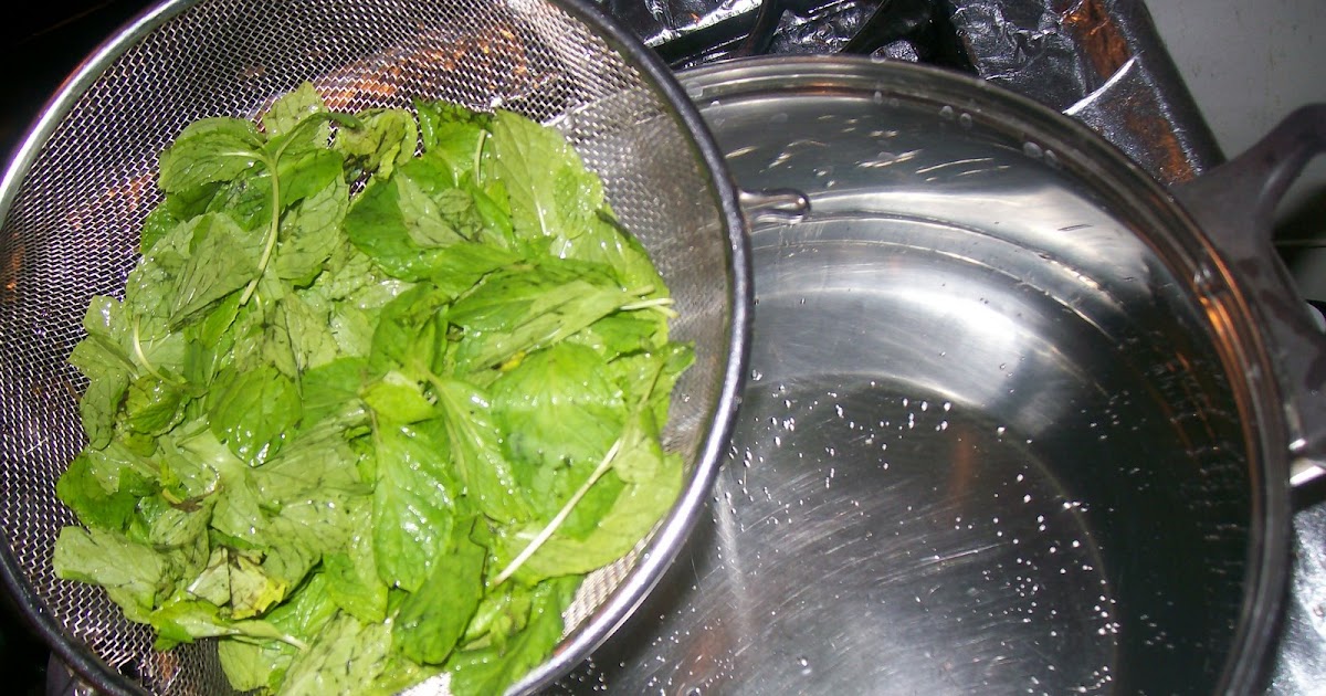 La Cocina De Nathan Cuban, Spanish, Mexican Cooking & More Te Frio de