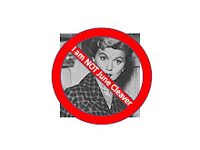 http://3.bp.blogspot.com/_h5dDWnaEAr8/S9YA5Mkq5aI/AAAAAAAAACQ/BTsDJ4OuXGc/S220/I+am+NOT+June+Cleaver.jpg