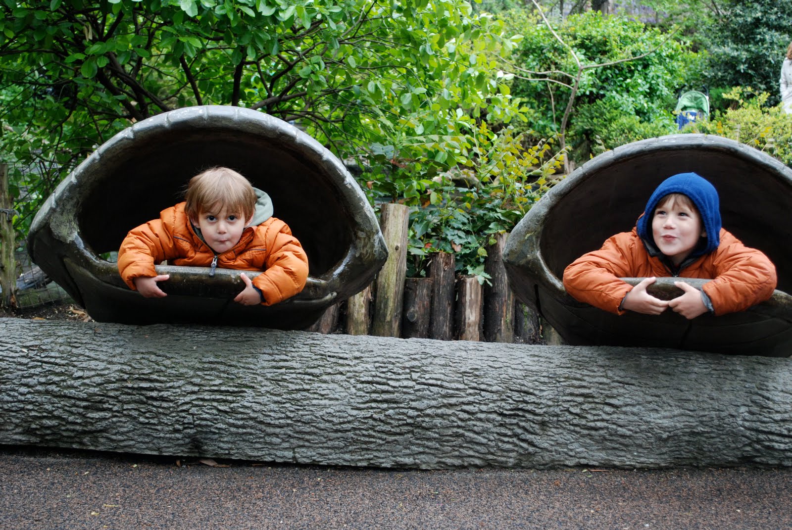 Dadventures : Madagascar in the City: The Central Park Zoo, NY, NY