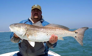 Ocracoke Inlet Red Drum
