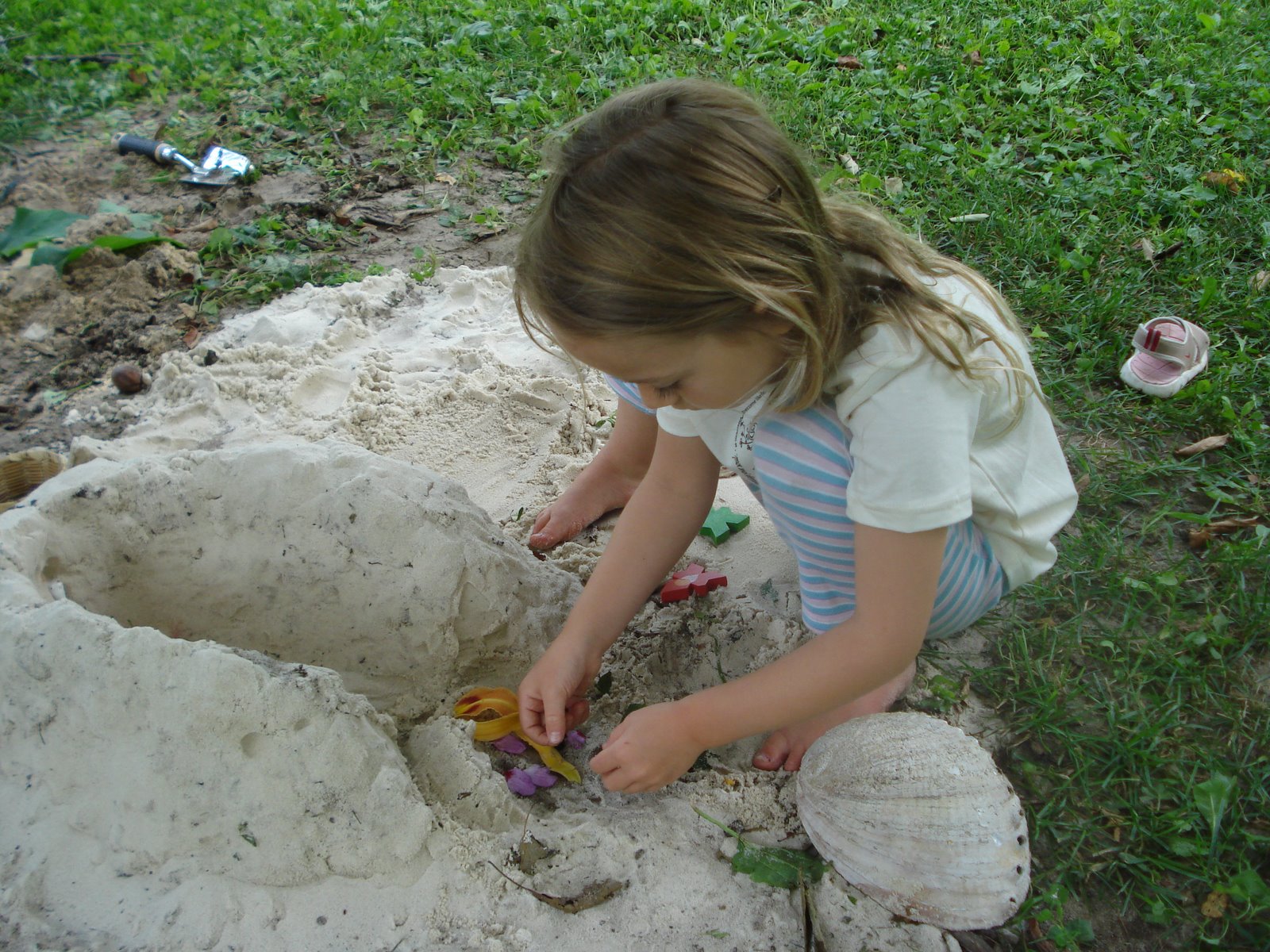 [DSC08787.JPG]