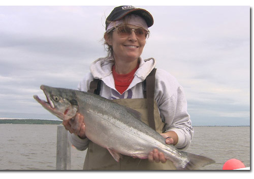 [palin+fish.jpg]