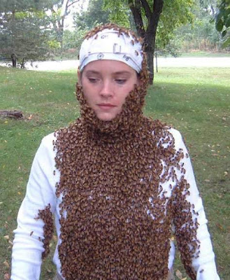 bee costume
